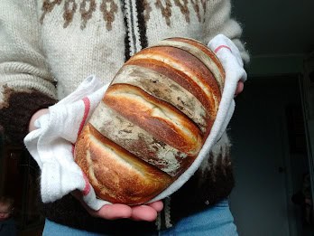 Sourdough Boule