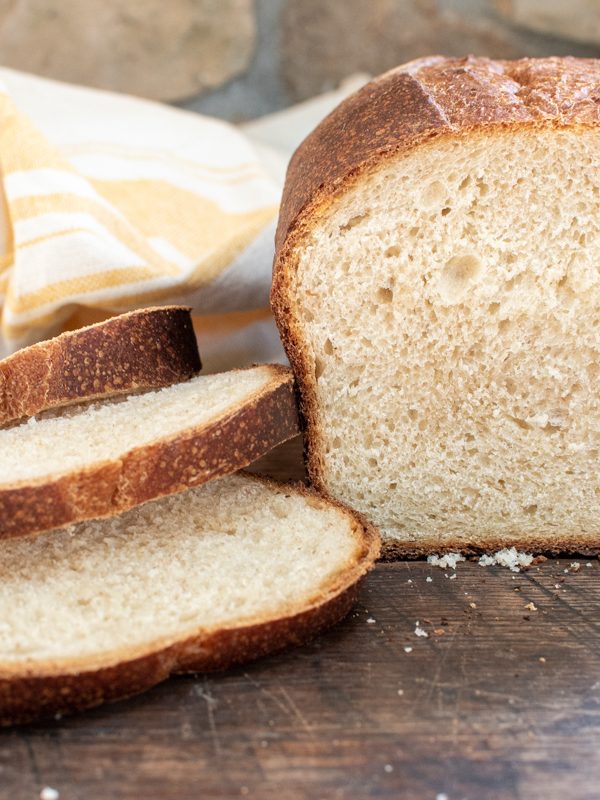 sourdough-archives-venison-for-dinner