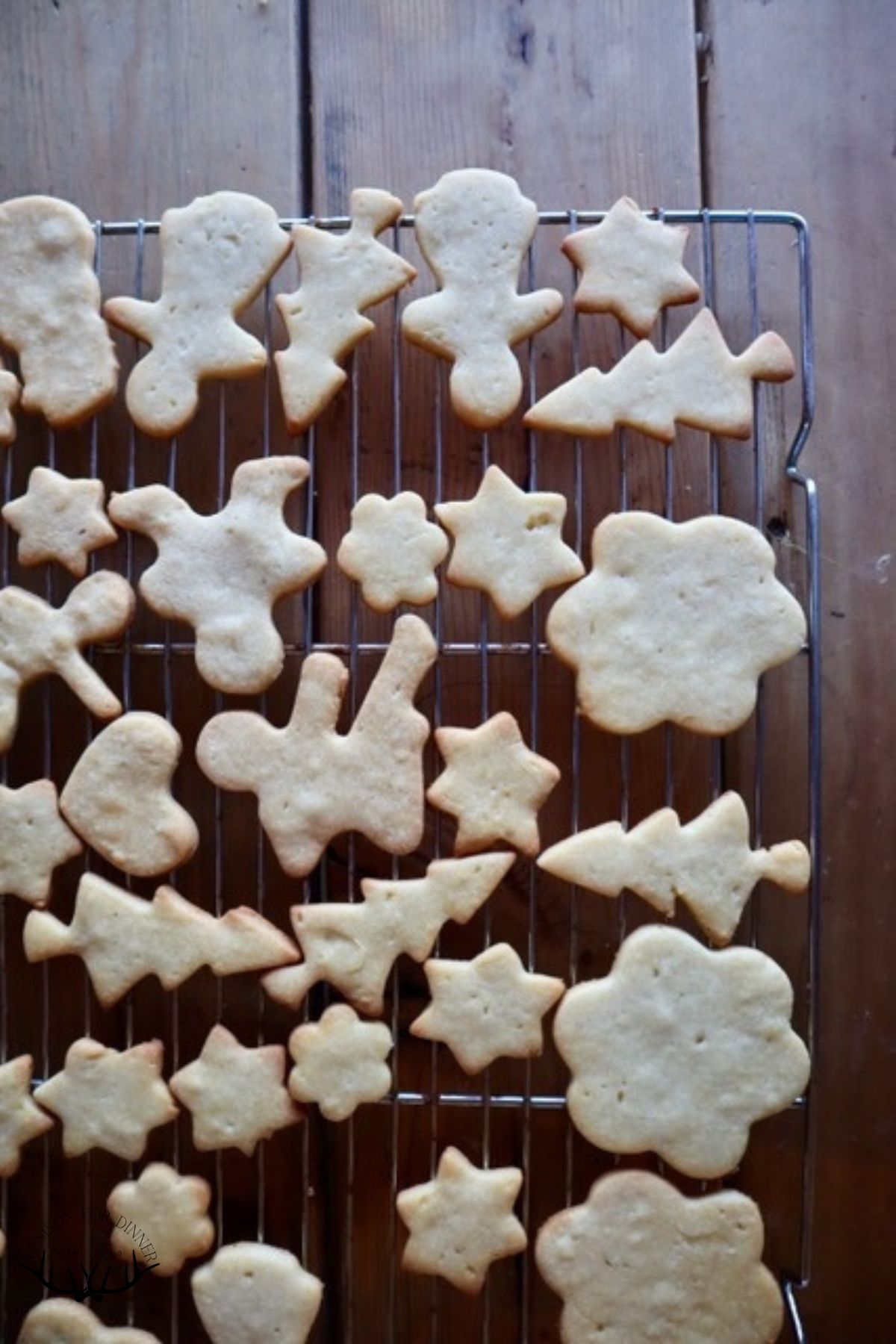 Cut out cookies in various shapes on a cooling rack.