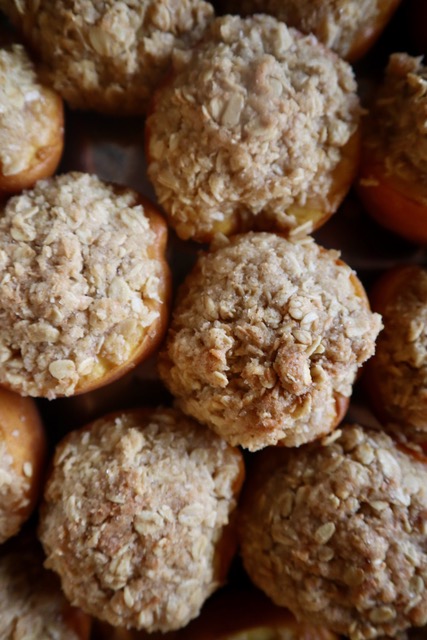 Close up view of oatmeal topping baked into peach halves.
