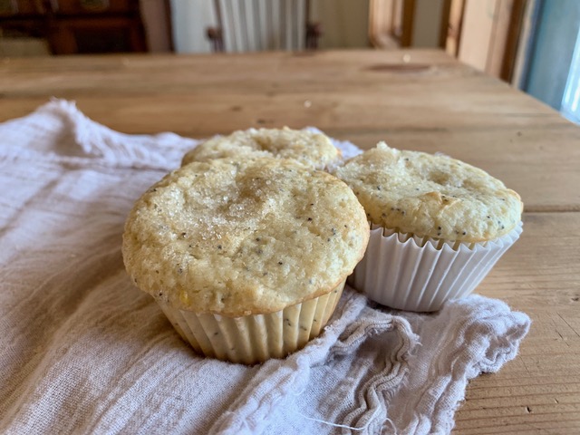 Side view of lemon poppy seed muffins in papers.