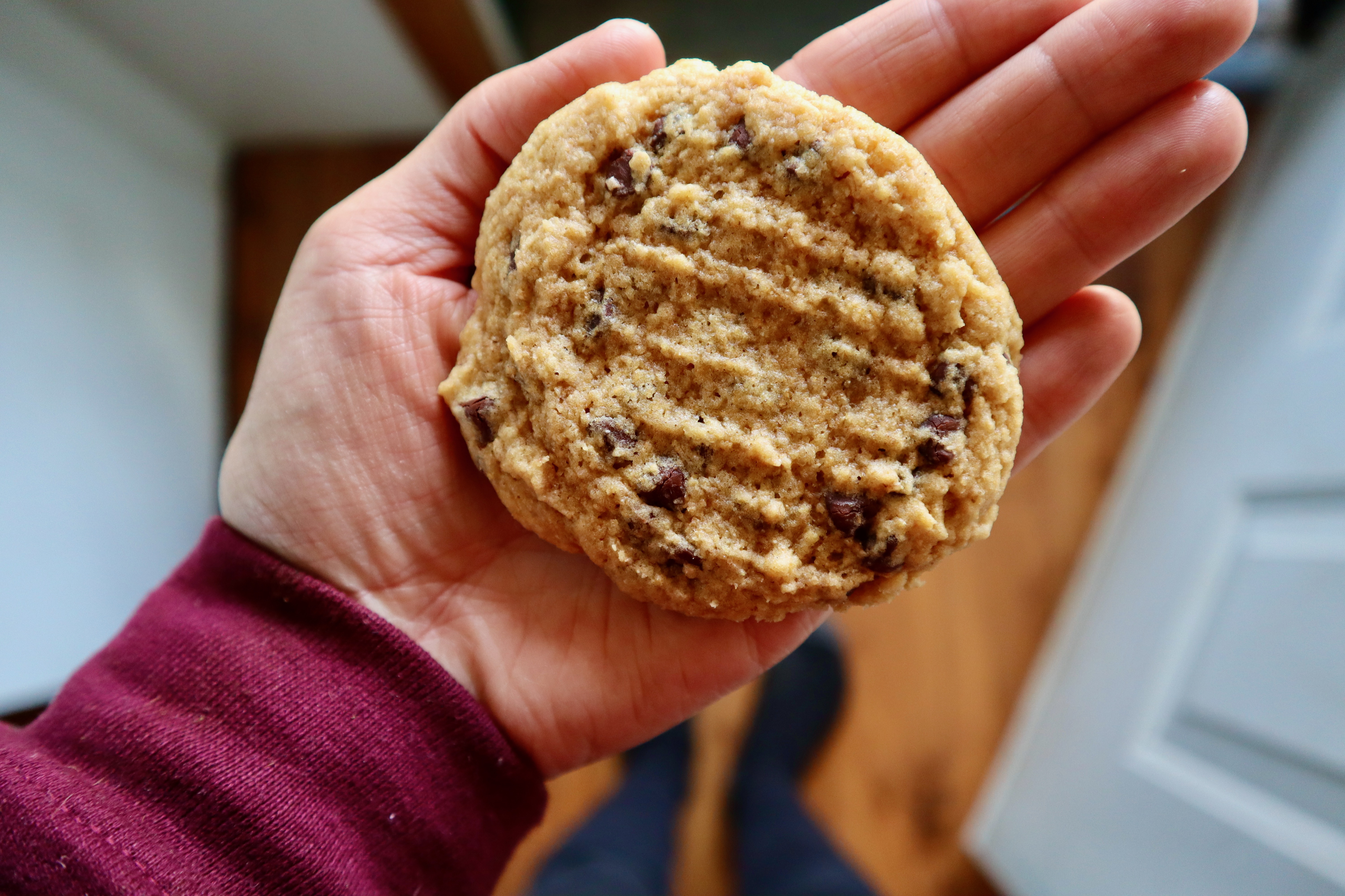 Large chocolate chip cookie in the palm of a woman's hand.
