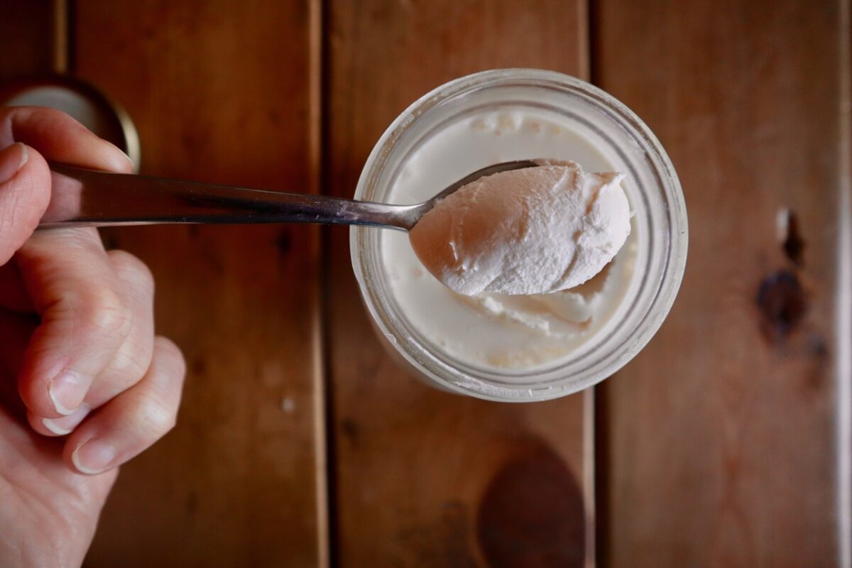 A hand holding a spoon of homemade sour cream over a full jar.