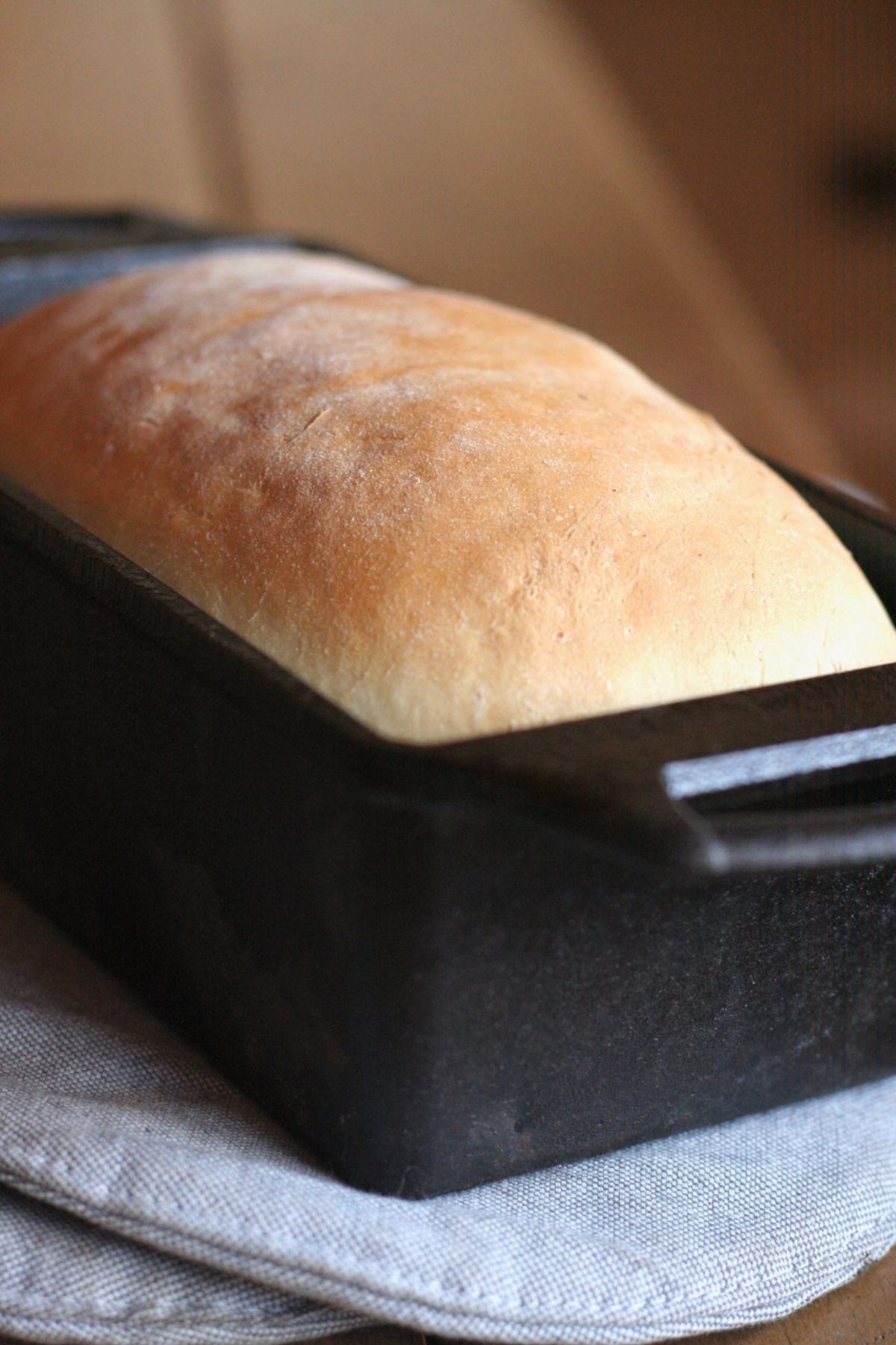 Baked soft crust sandwich bread in a loaf pan.