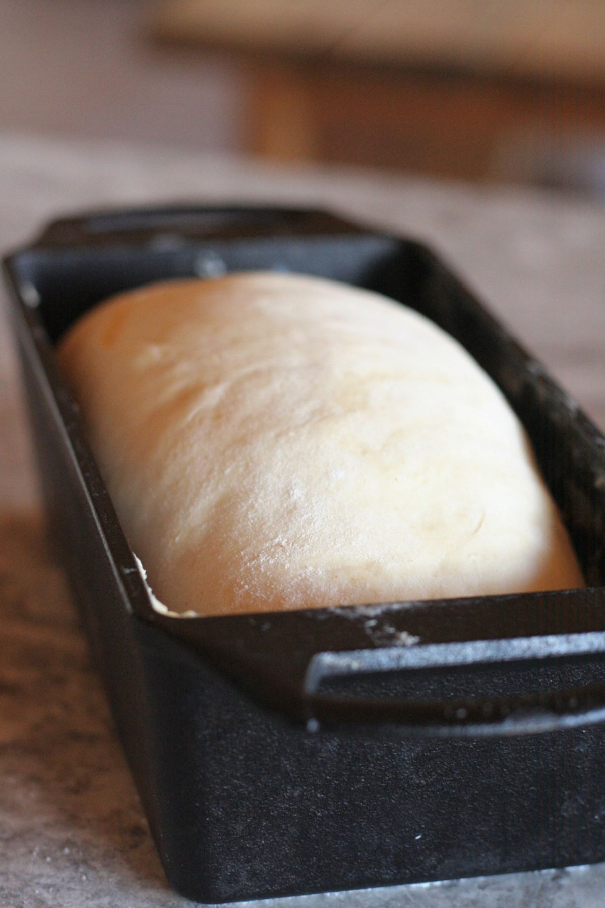 Sandwich bread in a loaf pan, having doubled in size.