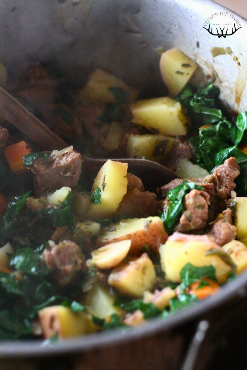 Moose Stew - Venison for Dinner