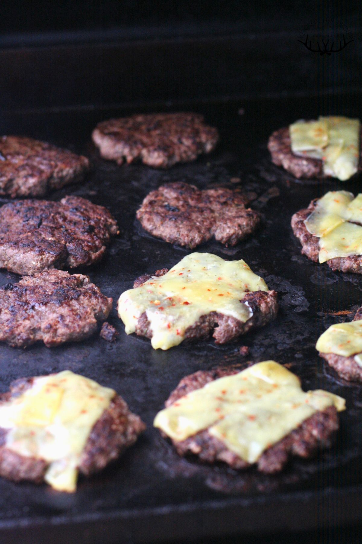 Moose burgers on a Blackstone griddle with cheese on half of them.