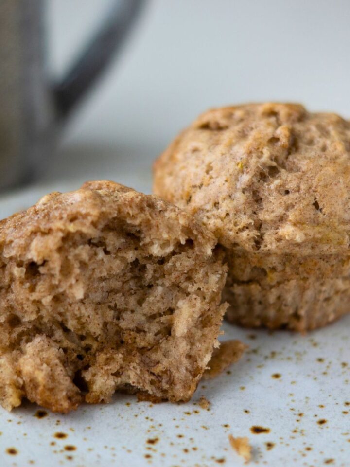 sourdough-archives-venison-for-dinner