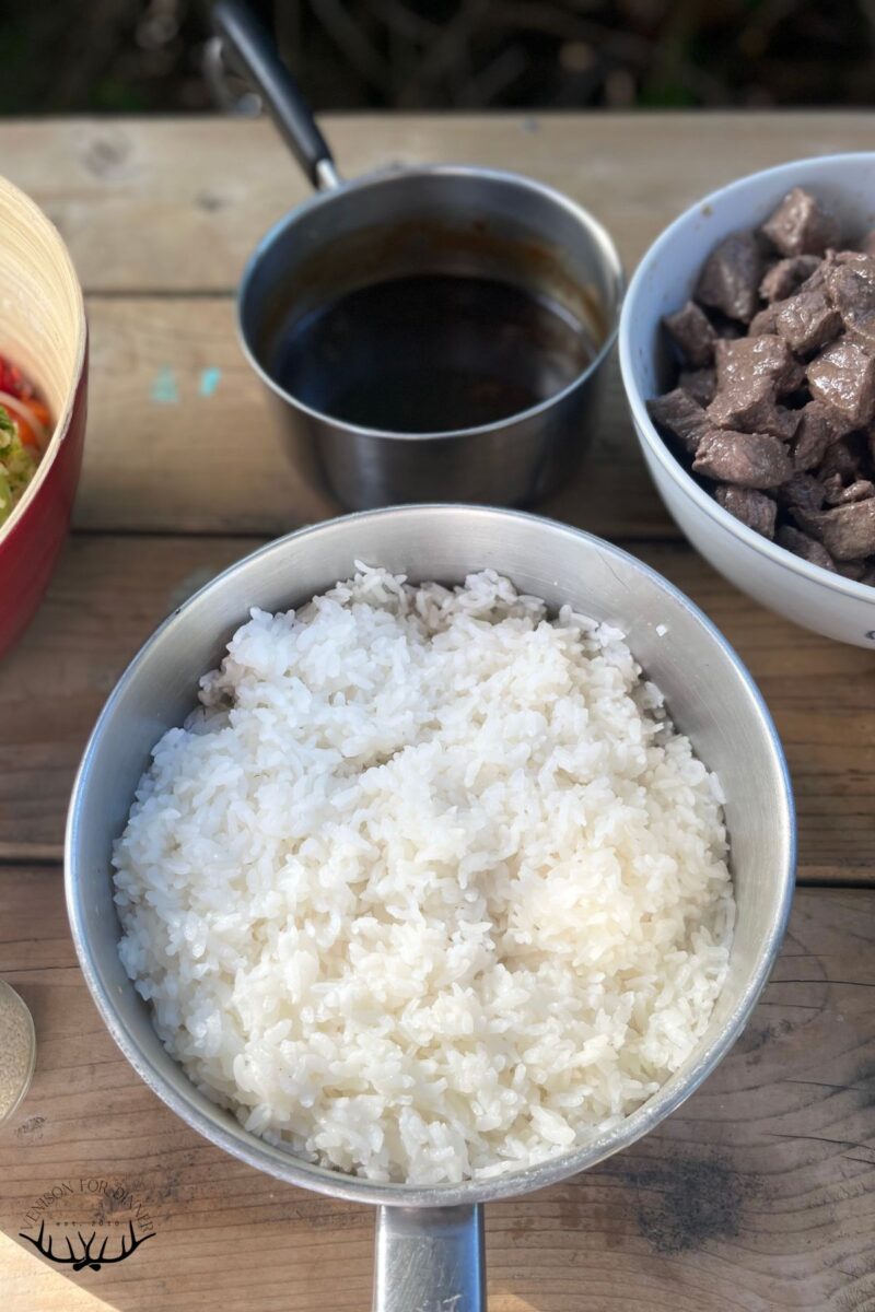 Venison Teriyaki Stir Fry - Venison for Dinner