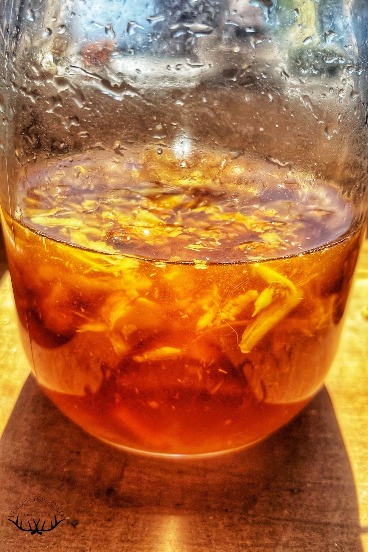 Ginger bug in a jar.