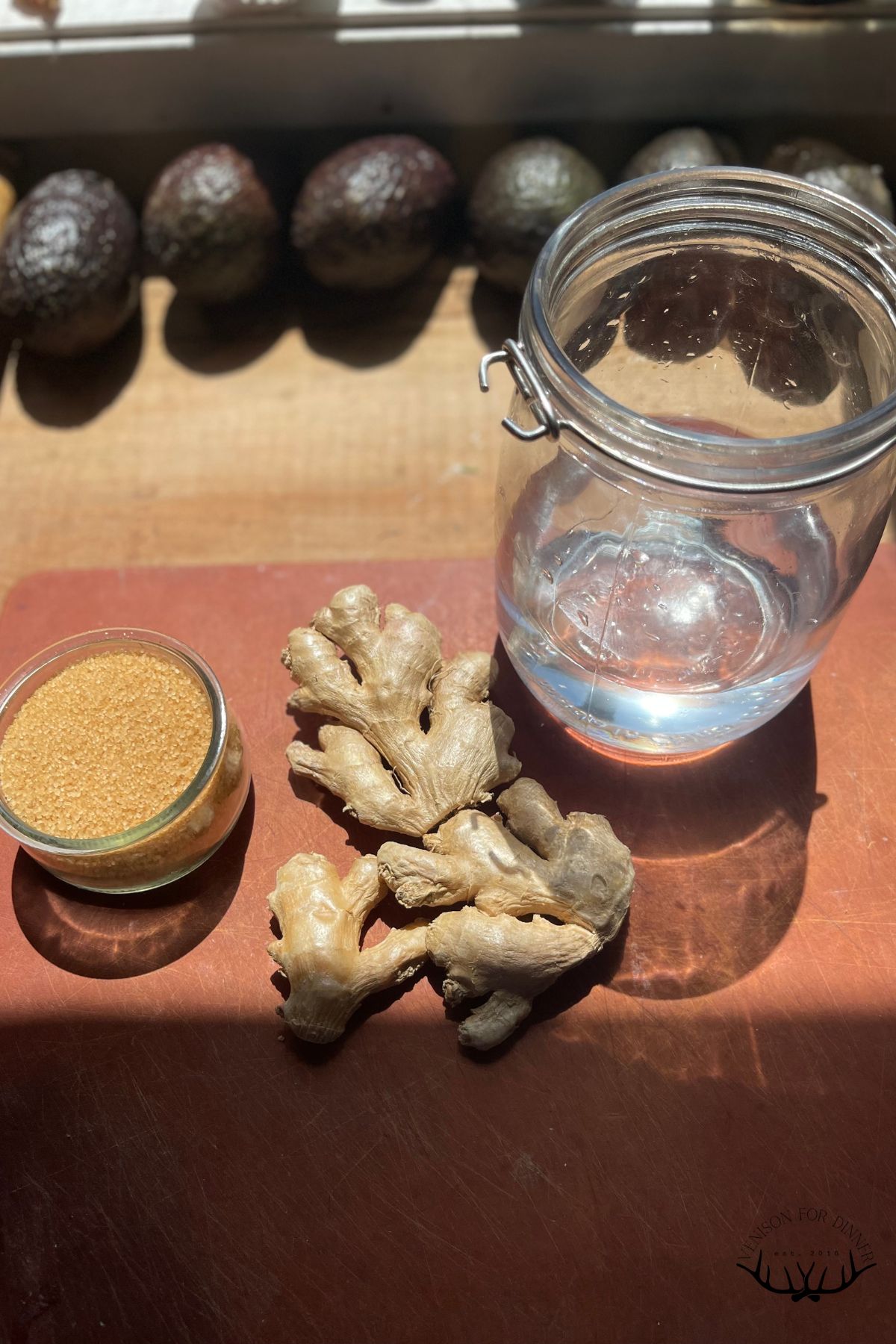 Ingredients to make a ginger bug.