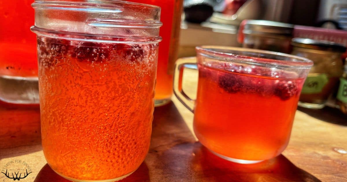 Square Root Soda Raspberry Homemade Raspberry Soda - Venison for Dinner