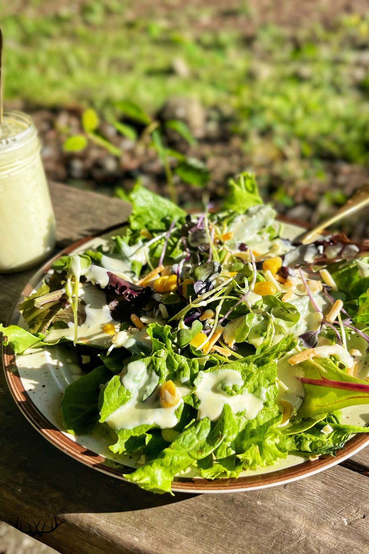Salad with homemade kefir ranch dressing.