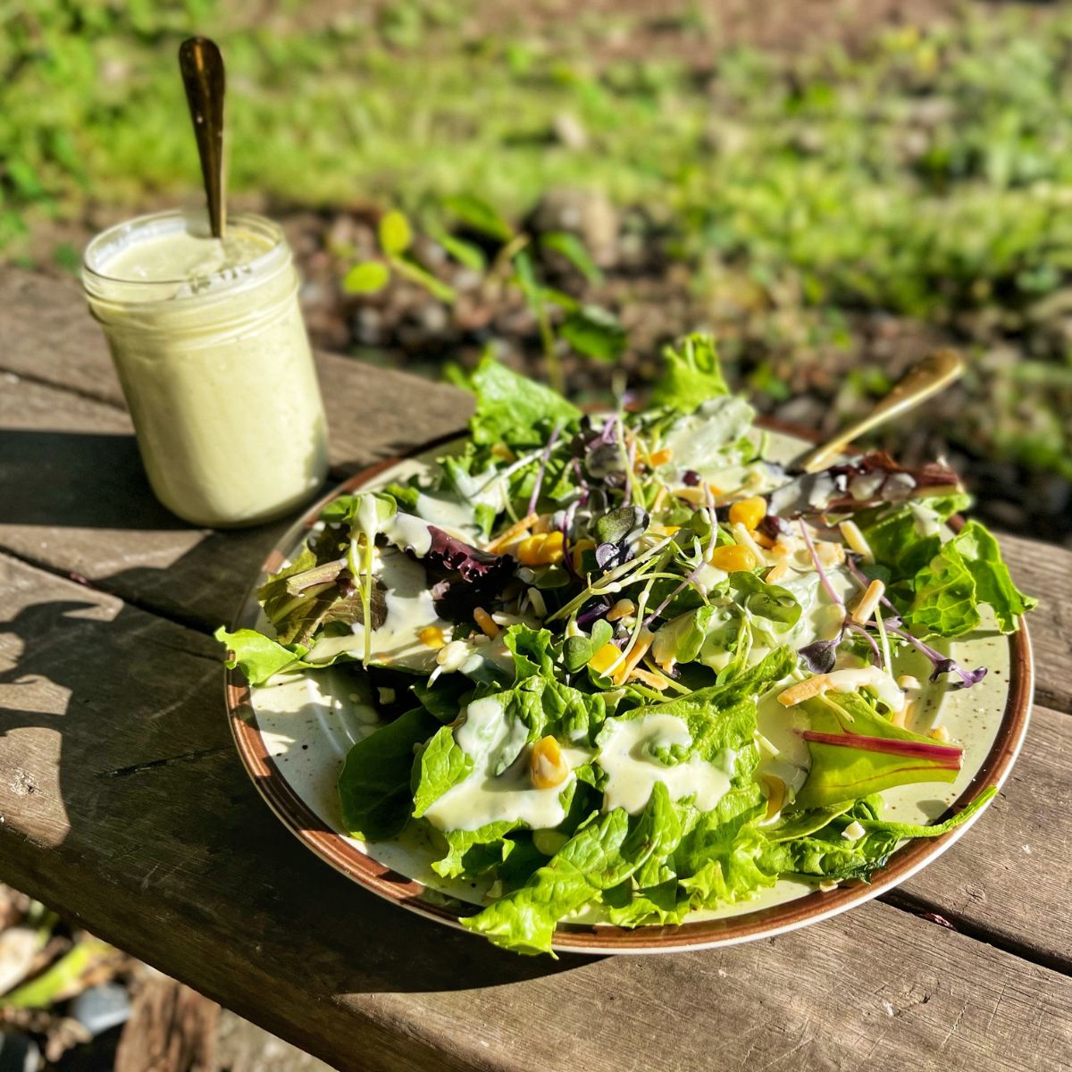 venison for dinner ranch dressing Kate's Ranch Dip Mix