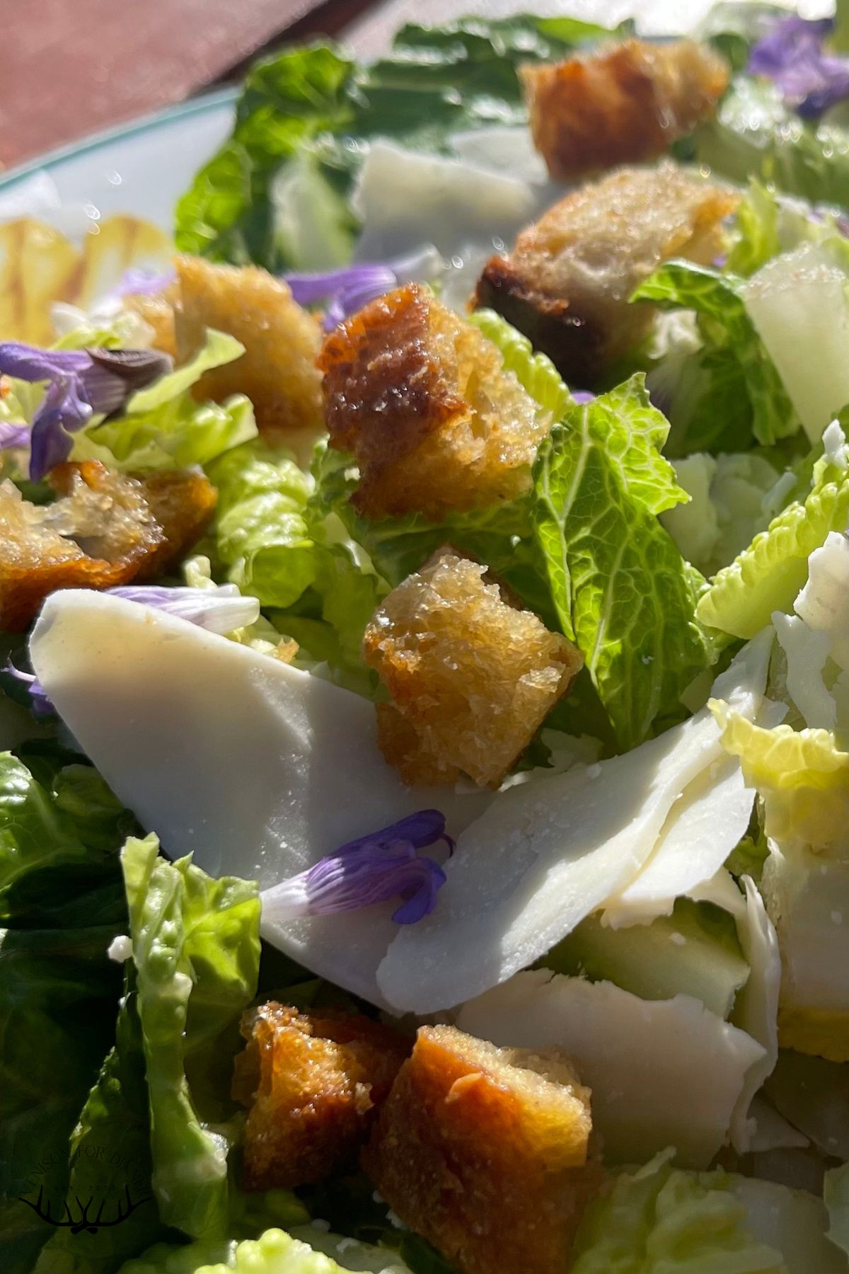 Salad with sourdough croutons.