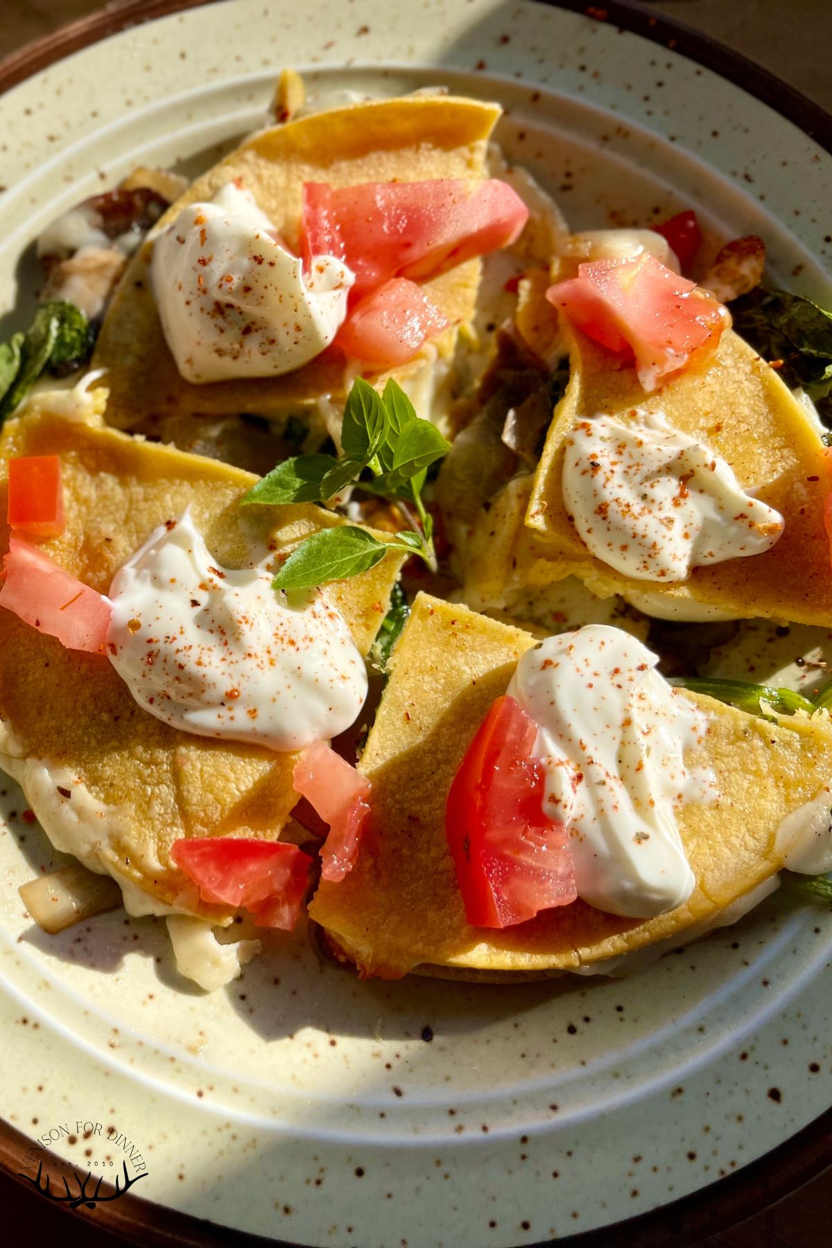 Spinach mushroom quesadilla topped with sour cream and tomatoes.
