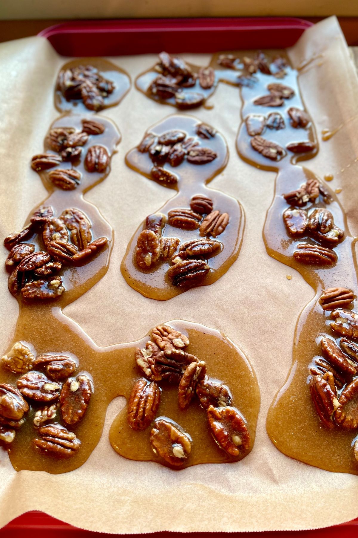Pecan pralines setting on a baking sheet.
