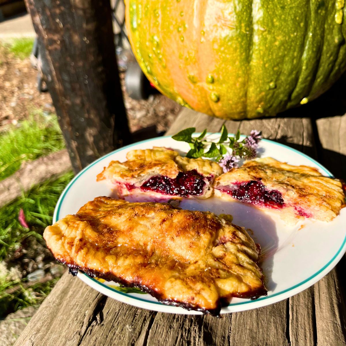 Blackberry hand pie on a plate.