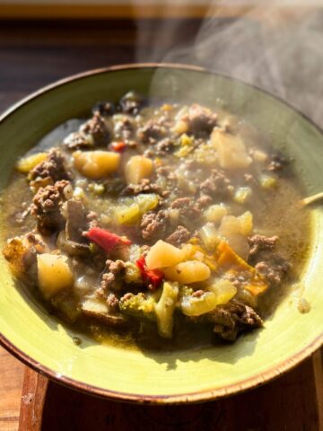 A steaming bowl of venison vegetable soup.