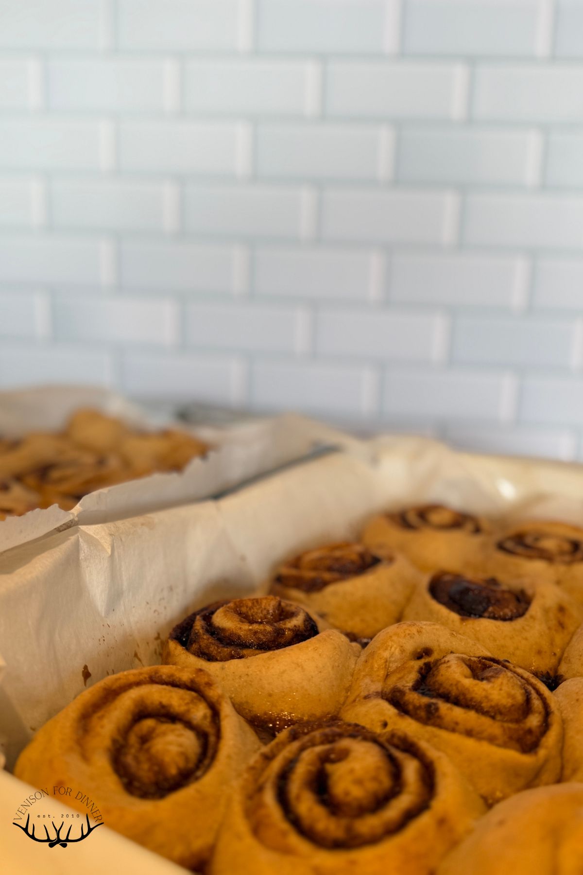 Two pans of baked cinnamon rolls.