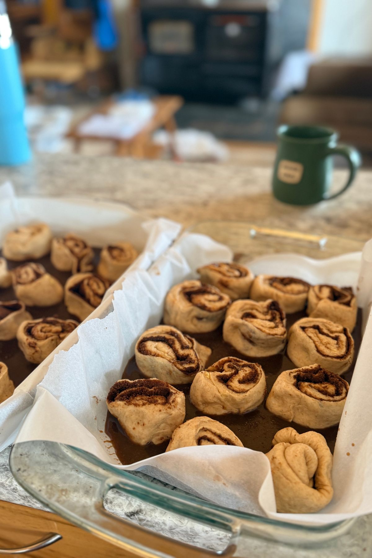 Two pans of cinnamon rolls ready to proof.