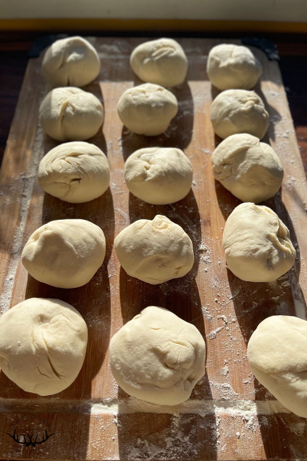 Sourdough split into 15 equal balls.