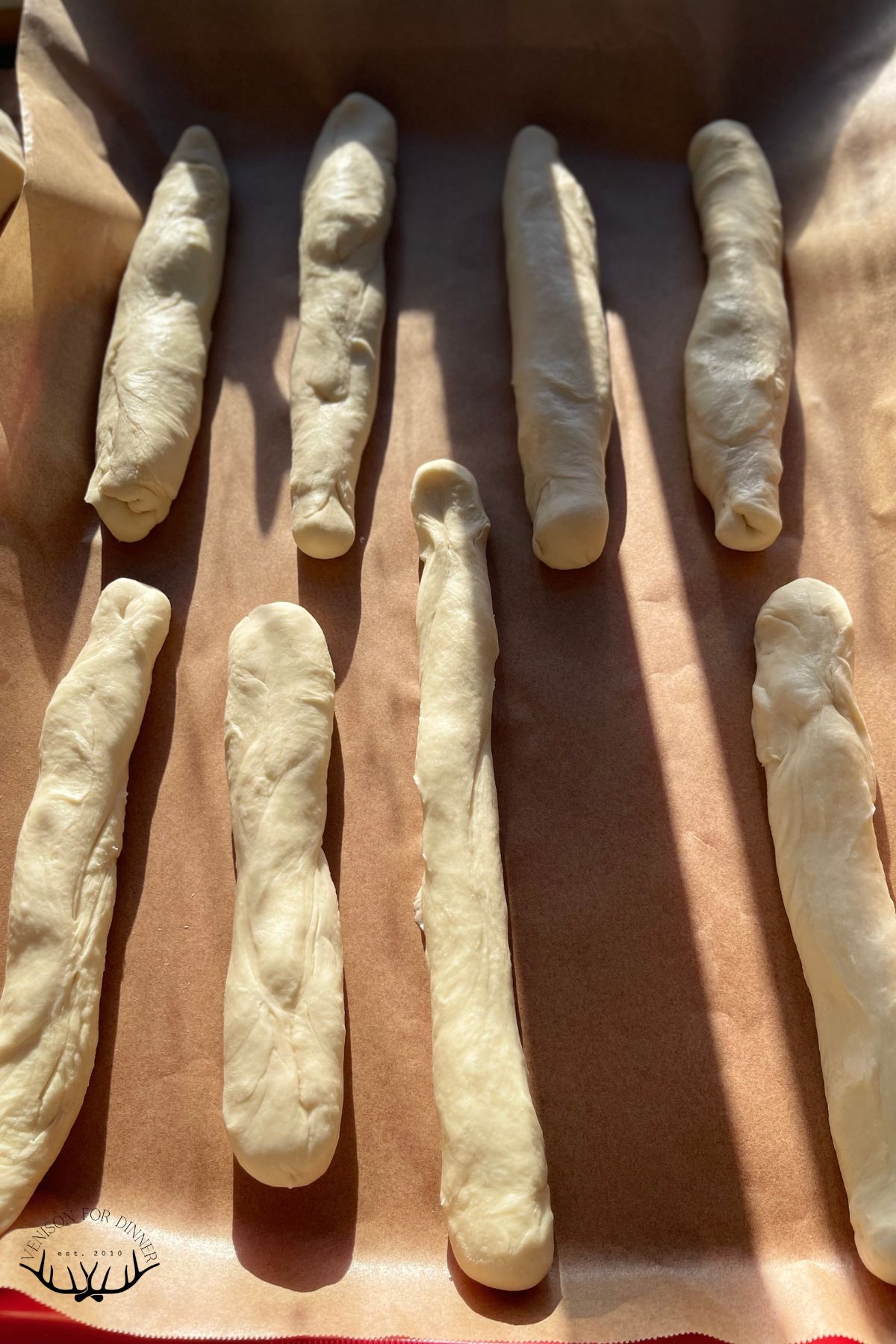 Rolled out breadsticks on parchment paper.