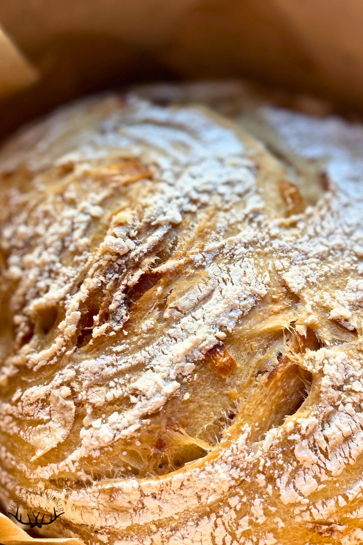 Closeup of baked loaf of seedy sourdough.