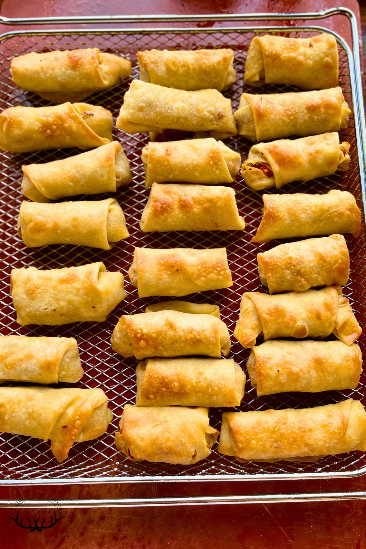 Baked spring rolls on an air fryer rack.
