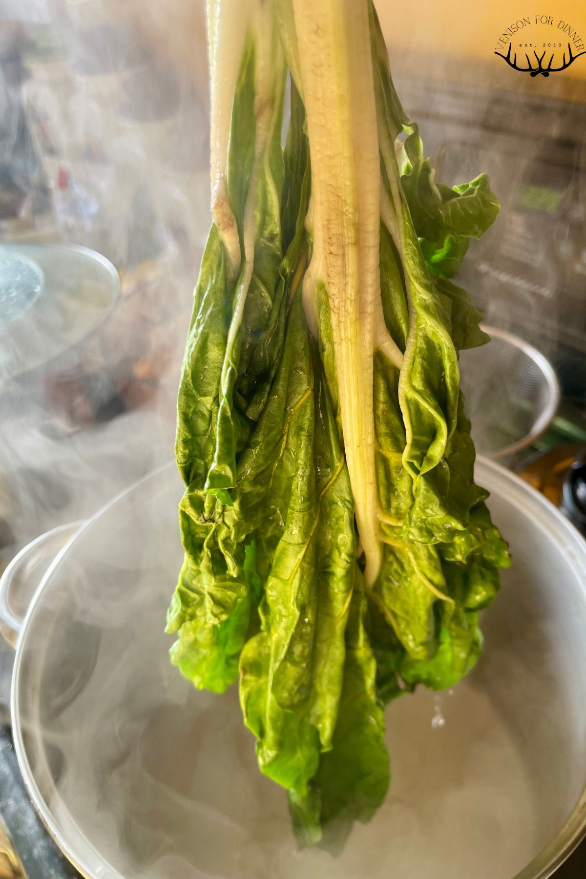 Blanching whole kale leaves.