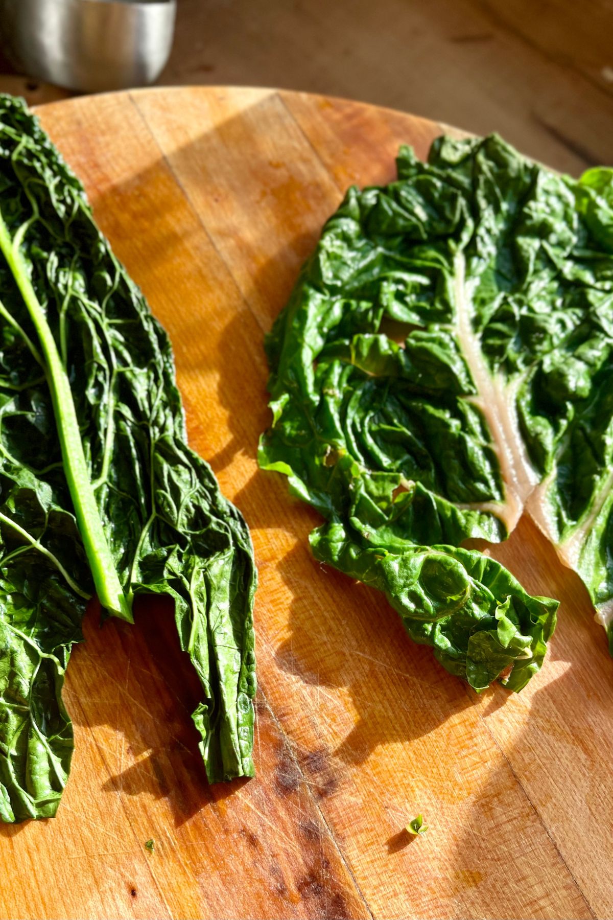 Cutting the tough stem off steamed kale leaves.