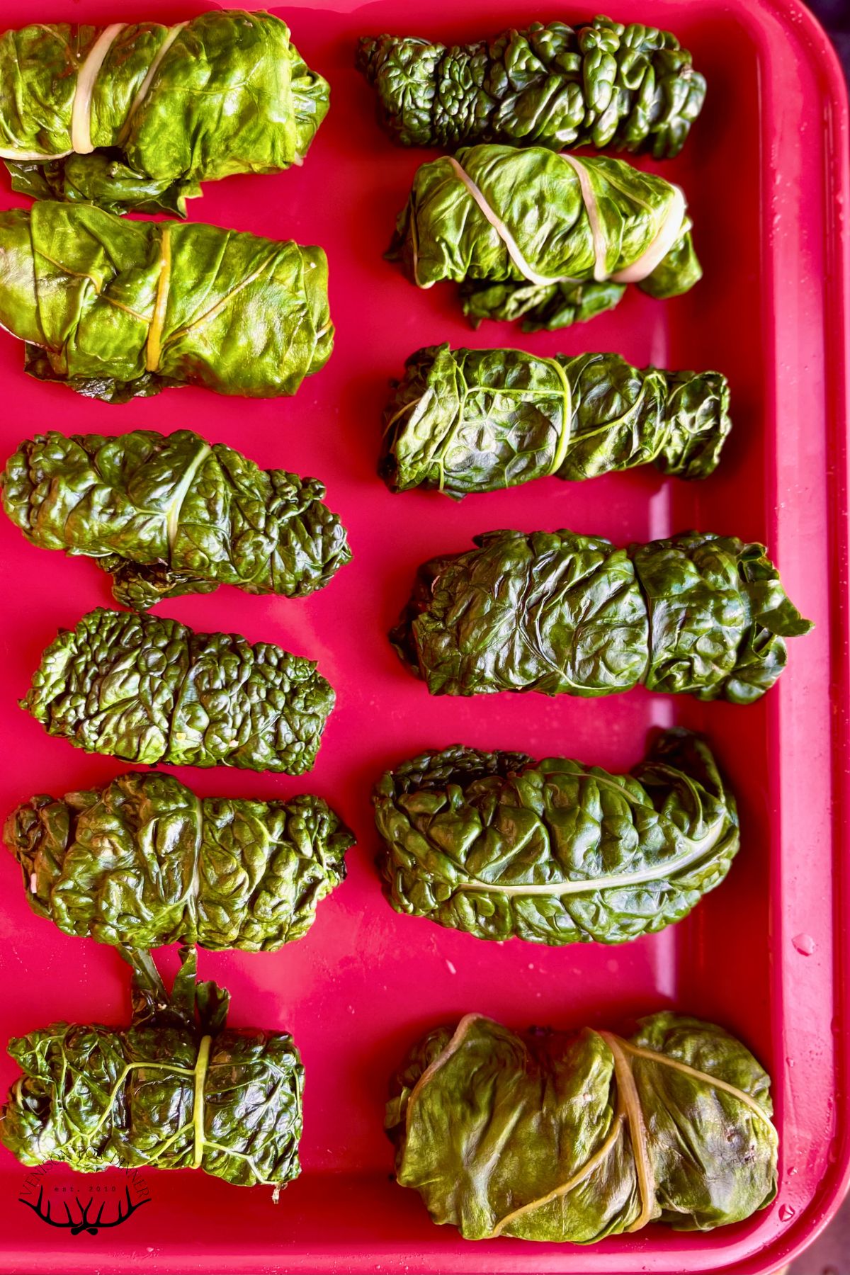 Rolled dolmades on a baking sheet.