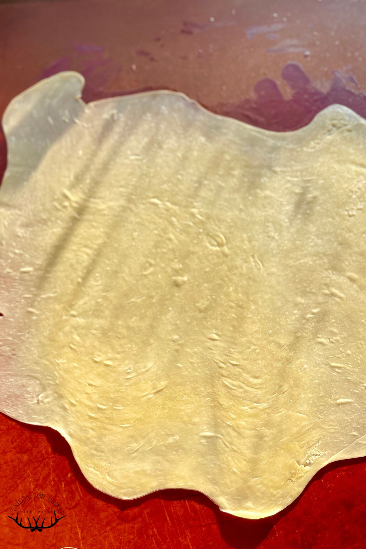 Rolled out won ton dough.