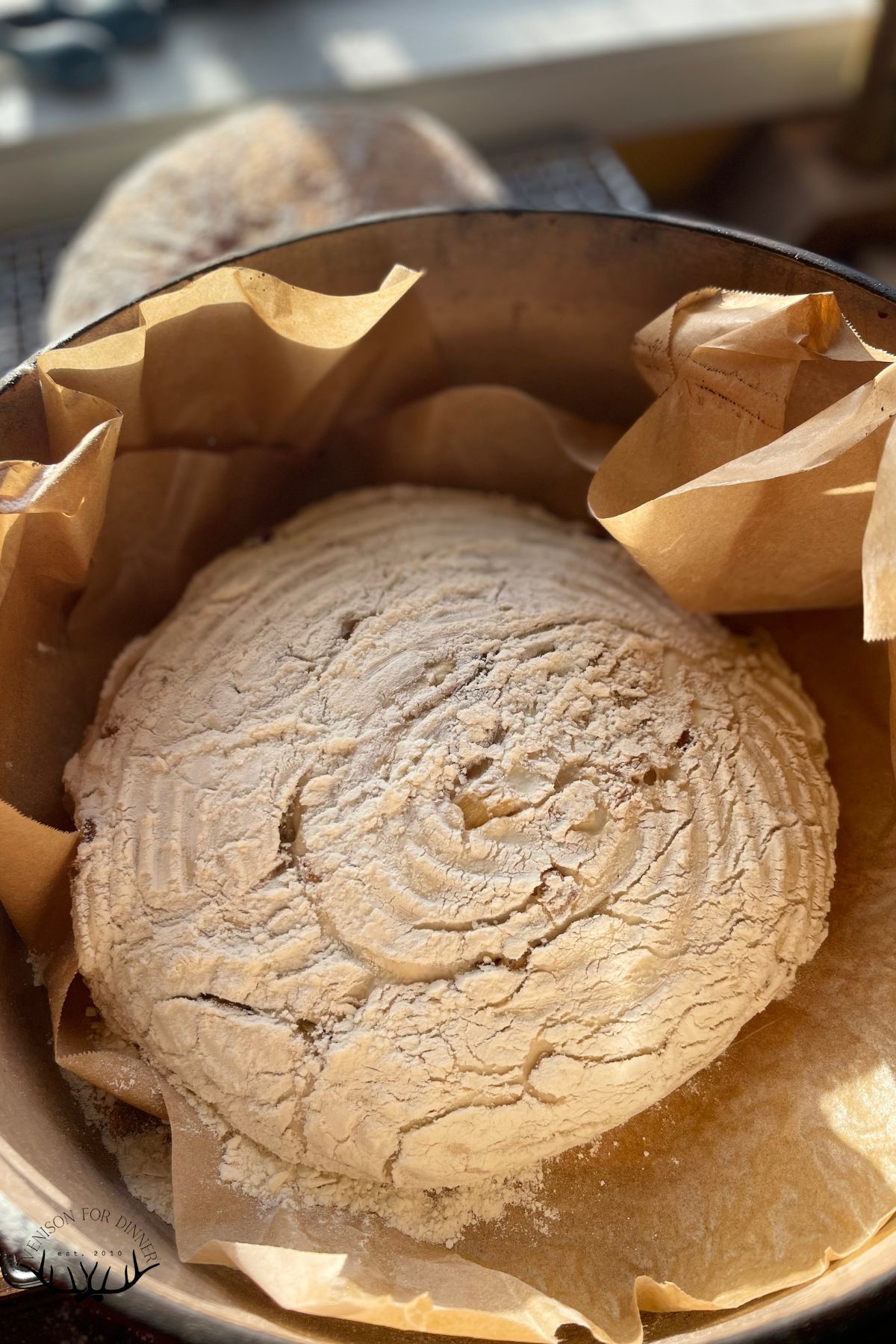 Seedy sourdough ready to bake.