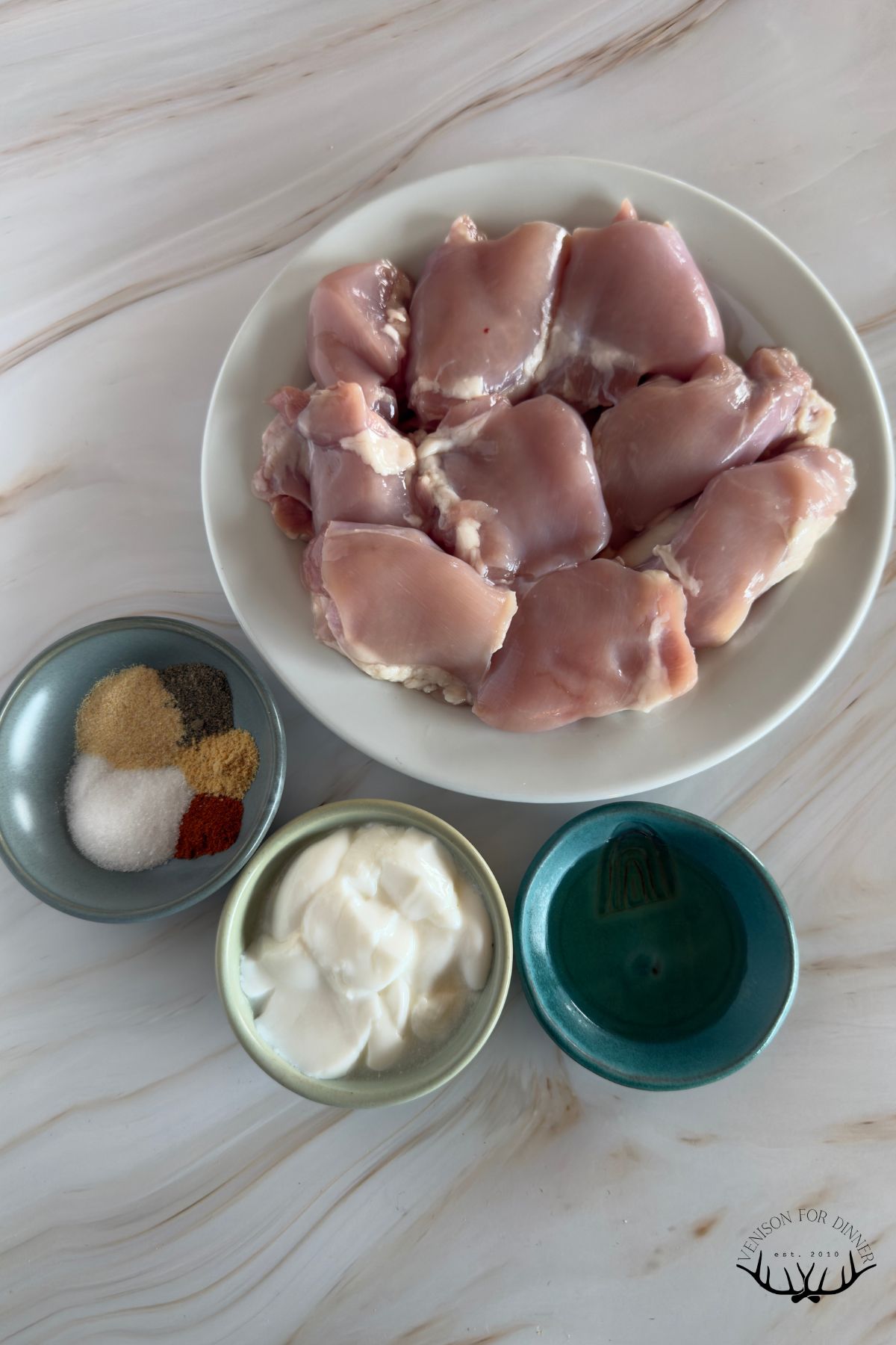Ingredients for yogurt marinated chicken thighs.