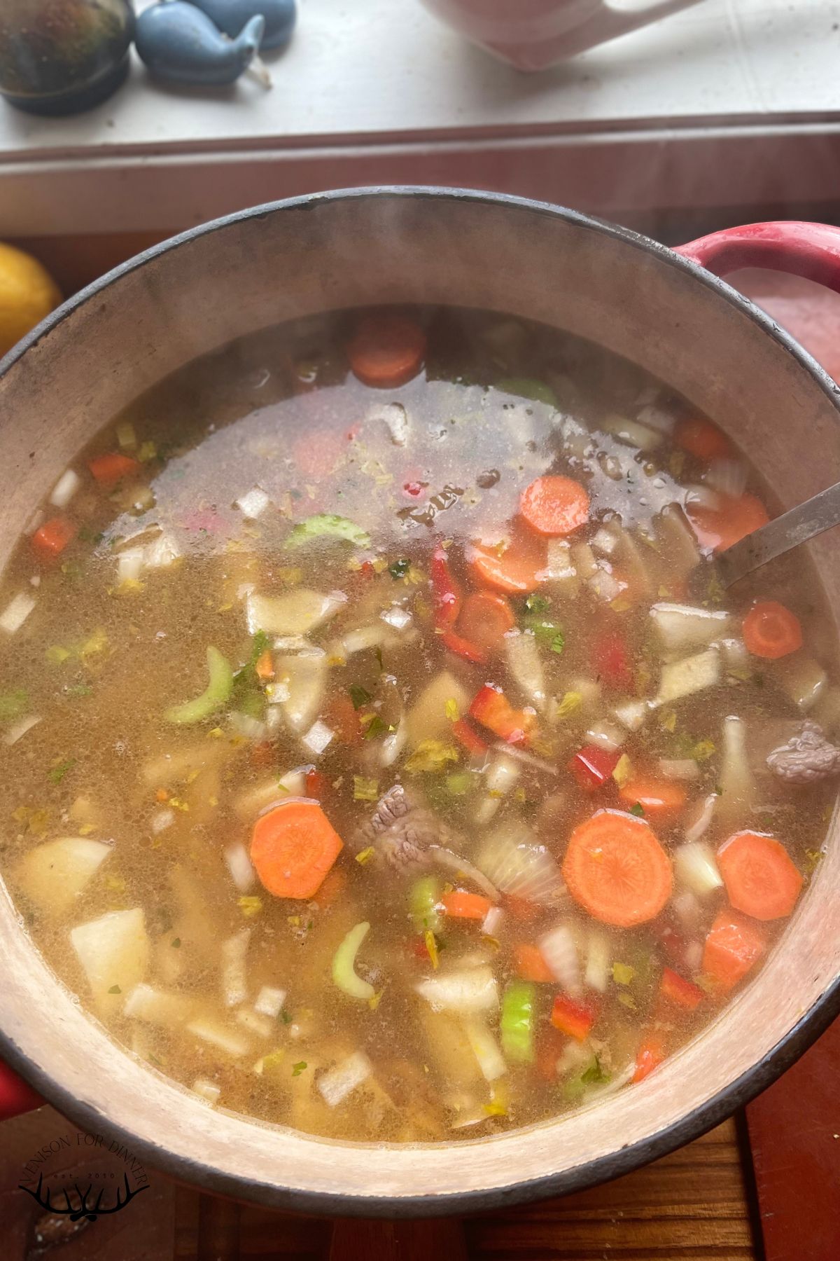 Venison veggie soup in a stockpot.
