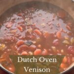 Dutch oven full of simmering venison stew.