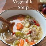 A single serving of venison vegetable soup.