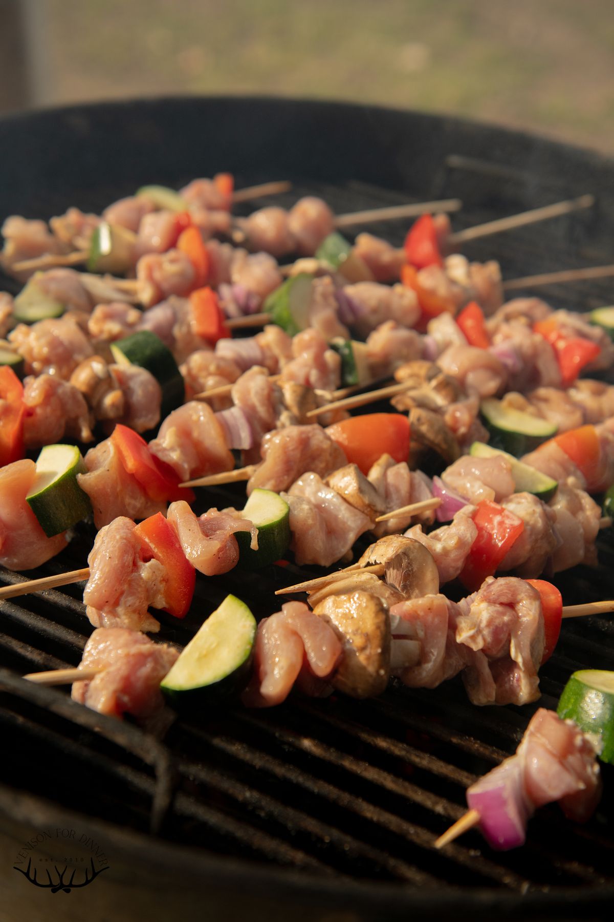Chicken veggie skewers on the grill.