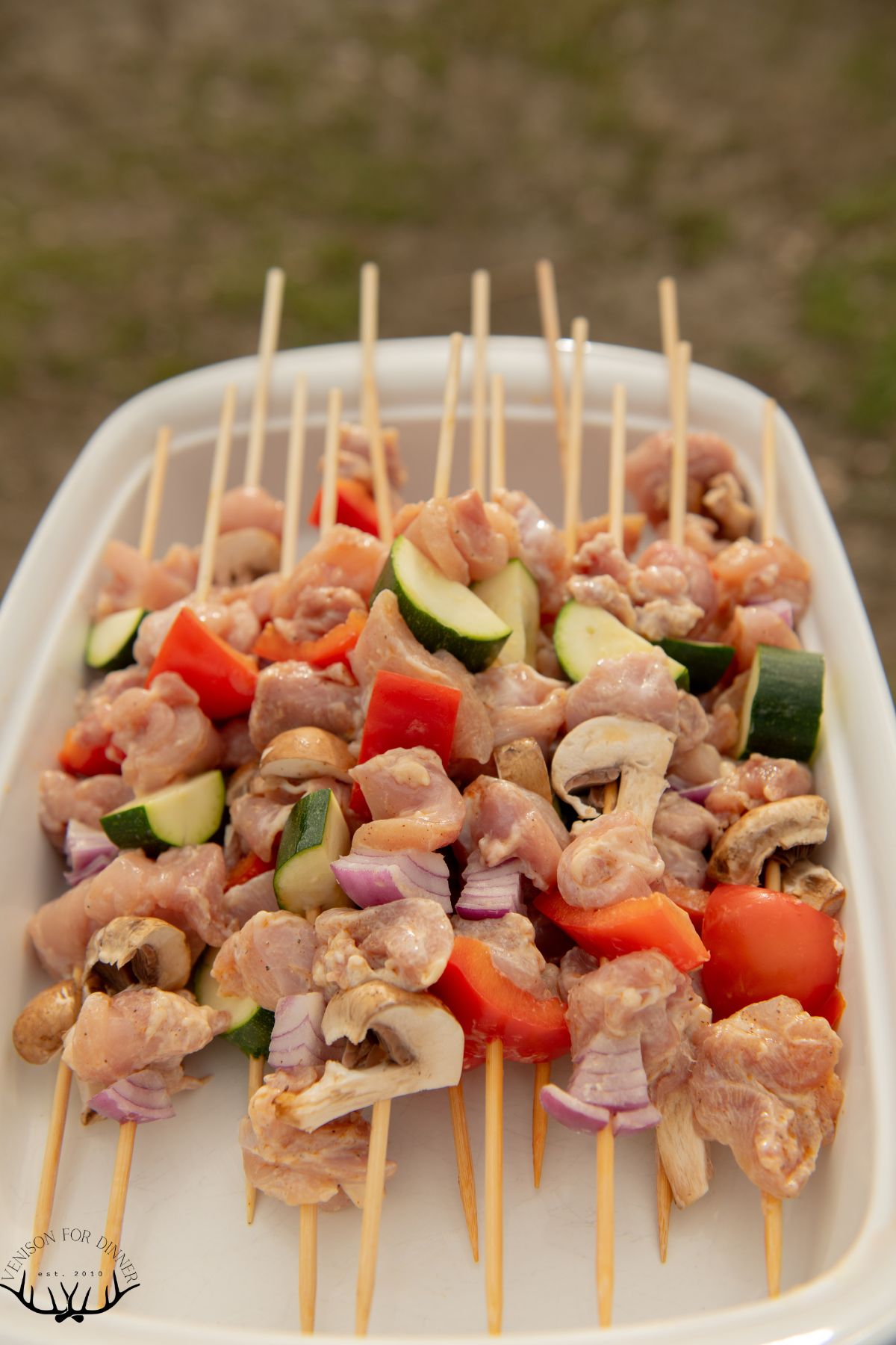 Chicken veggie skewers ready to grill.