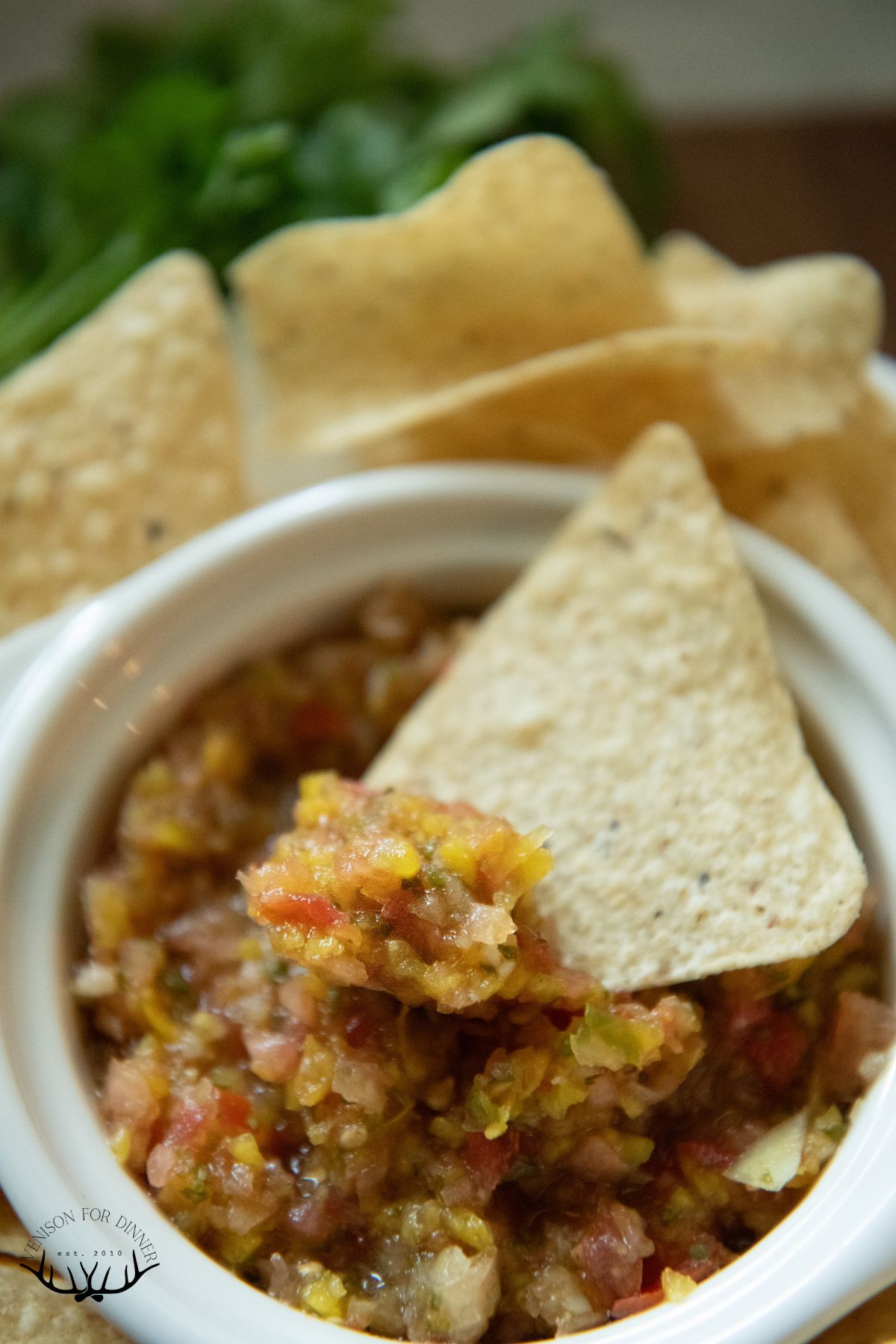 Tortilla chip in fermented salsa.