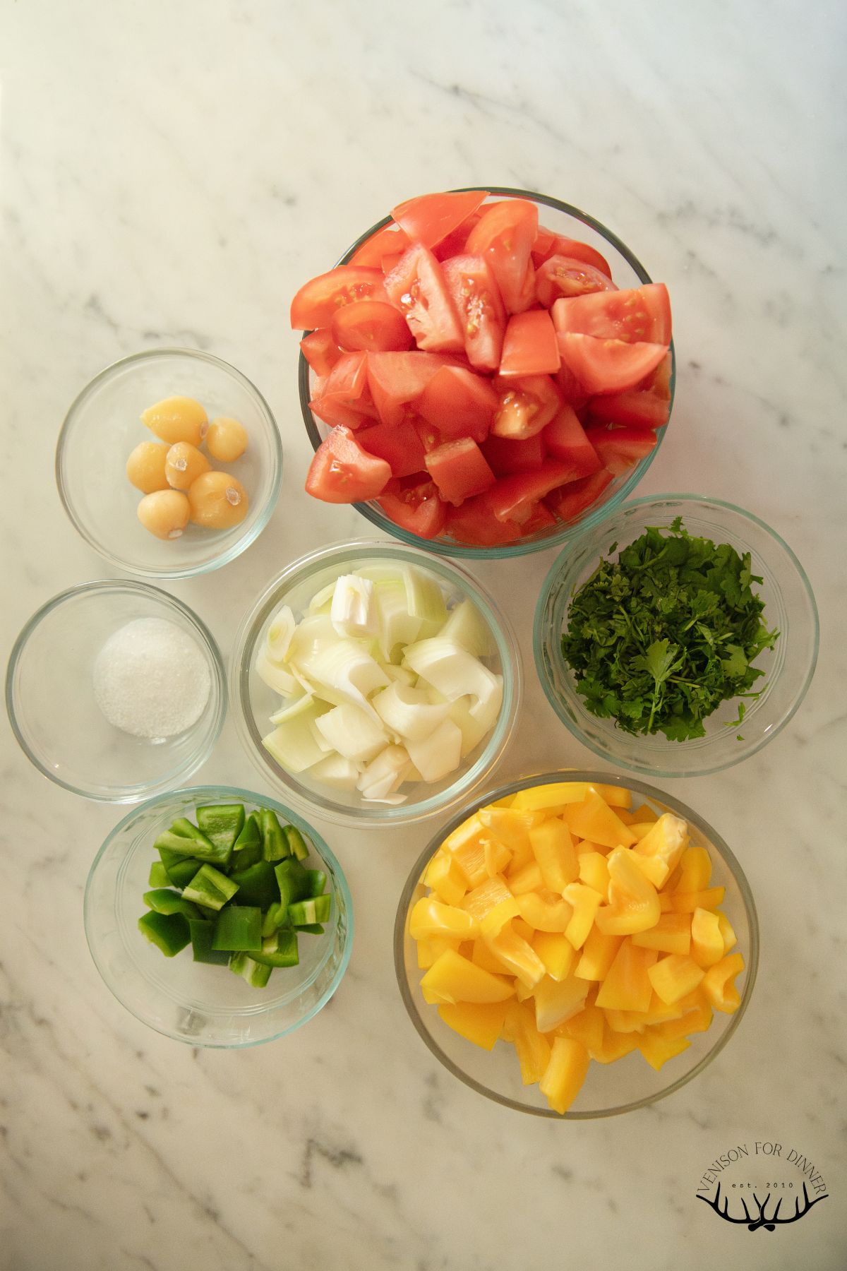 Ingredients to make fermented tomato salsa.
