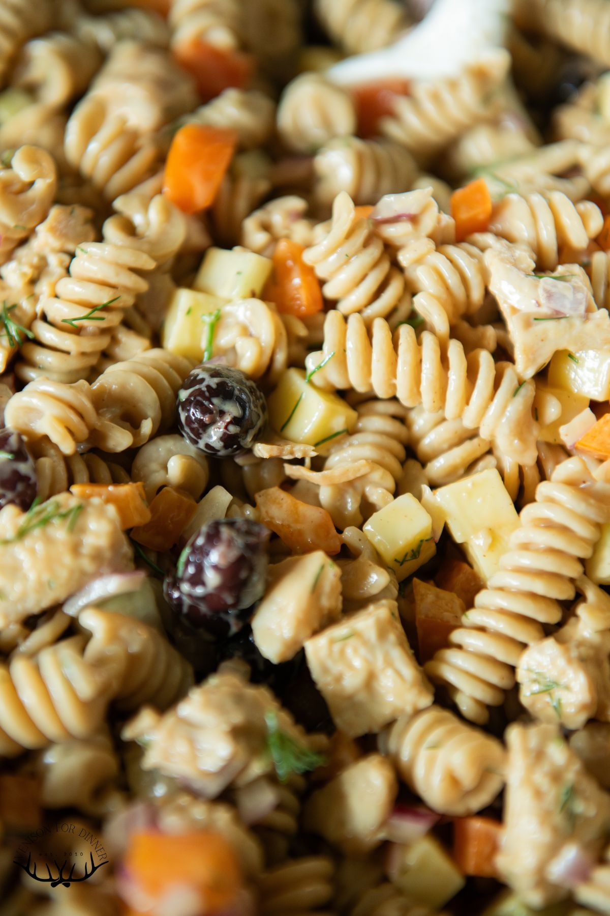 Diced veggies and chicken in pasta salad.