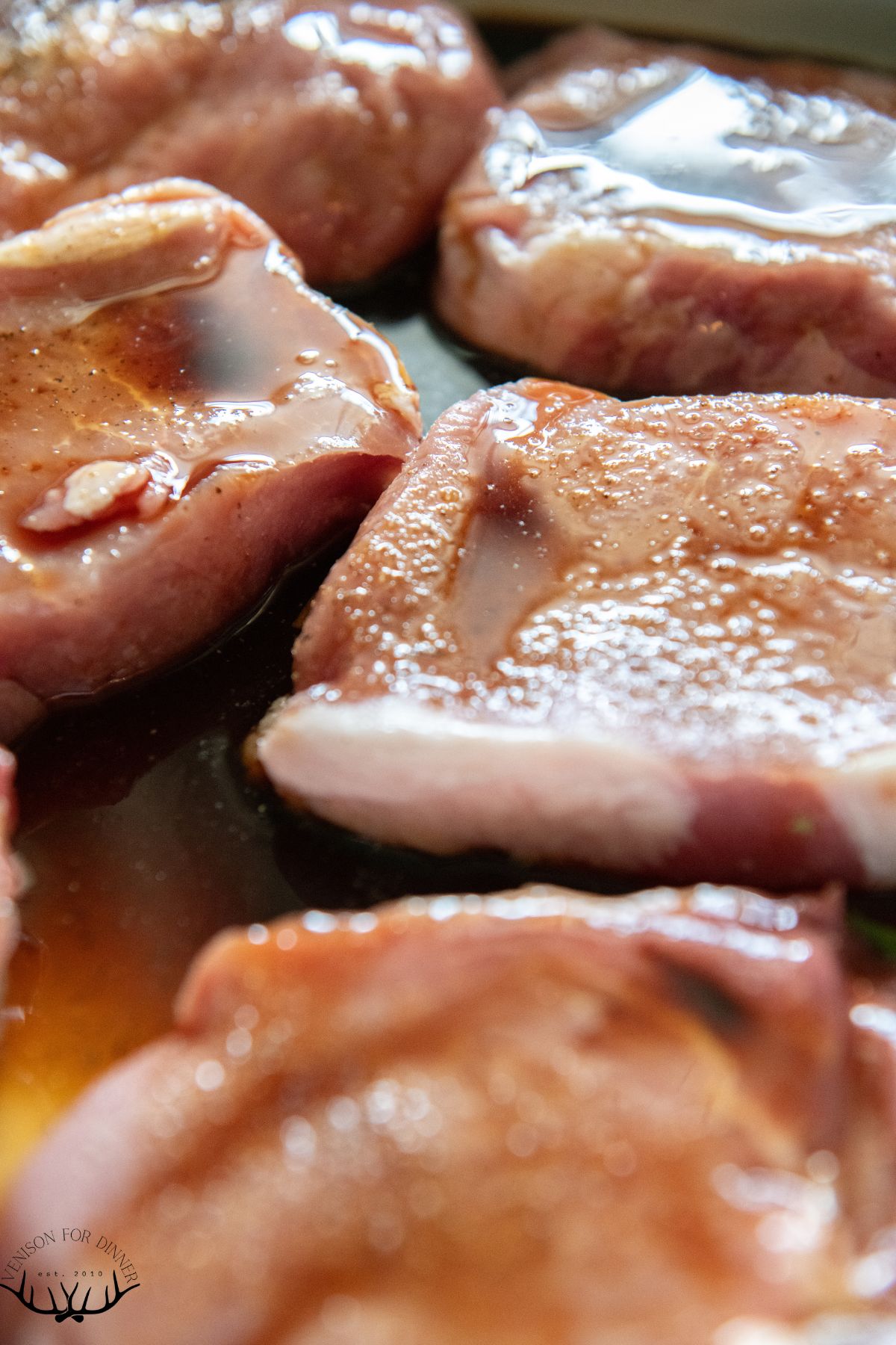 Pork chops with balsamic marinade.