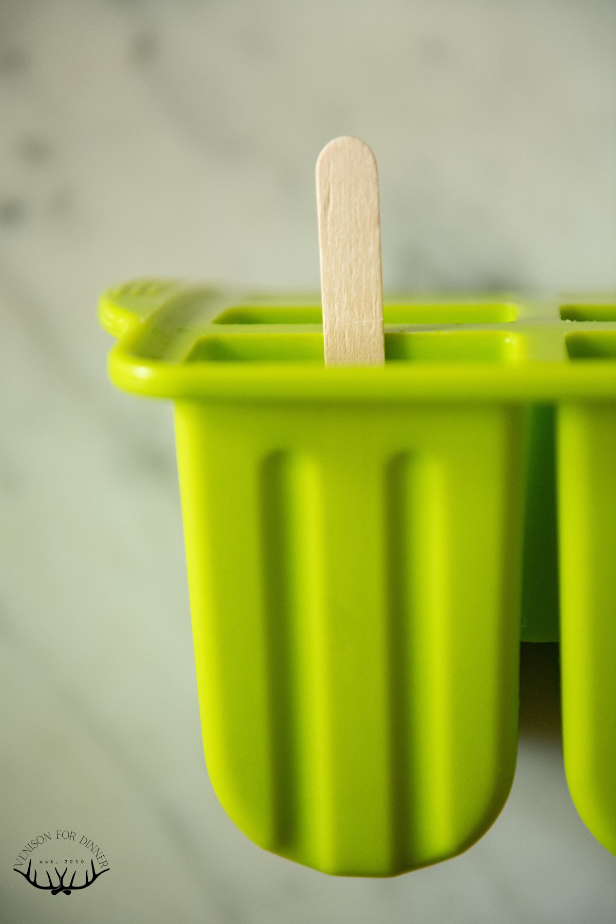 Stick in a popsicle mold.