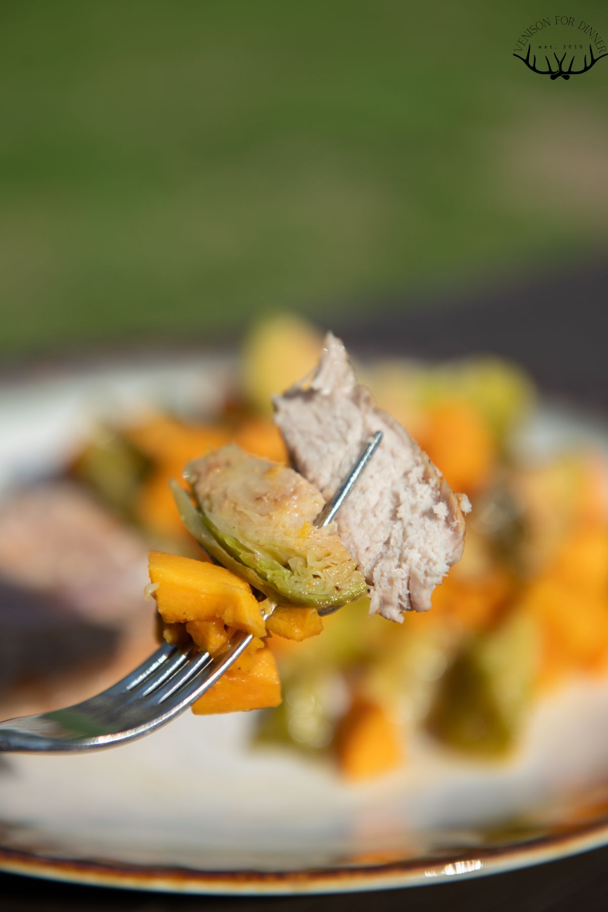 Bite of pork chop and Brussels sprout on a fork.