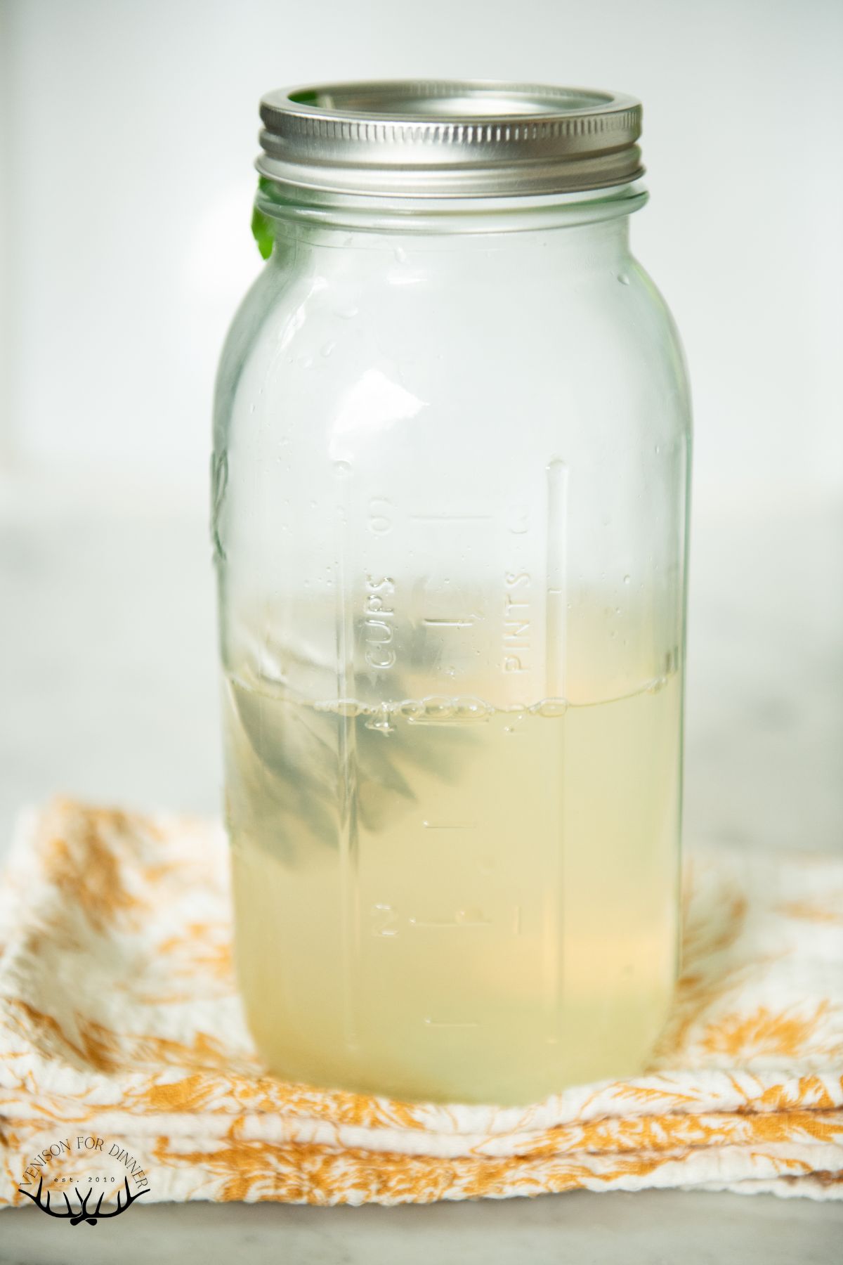Green tea bags steeping in a jar.