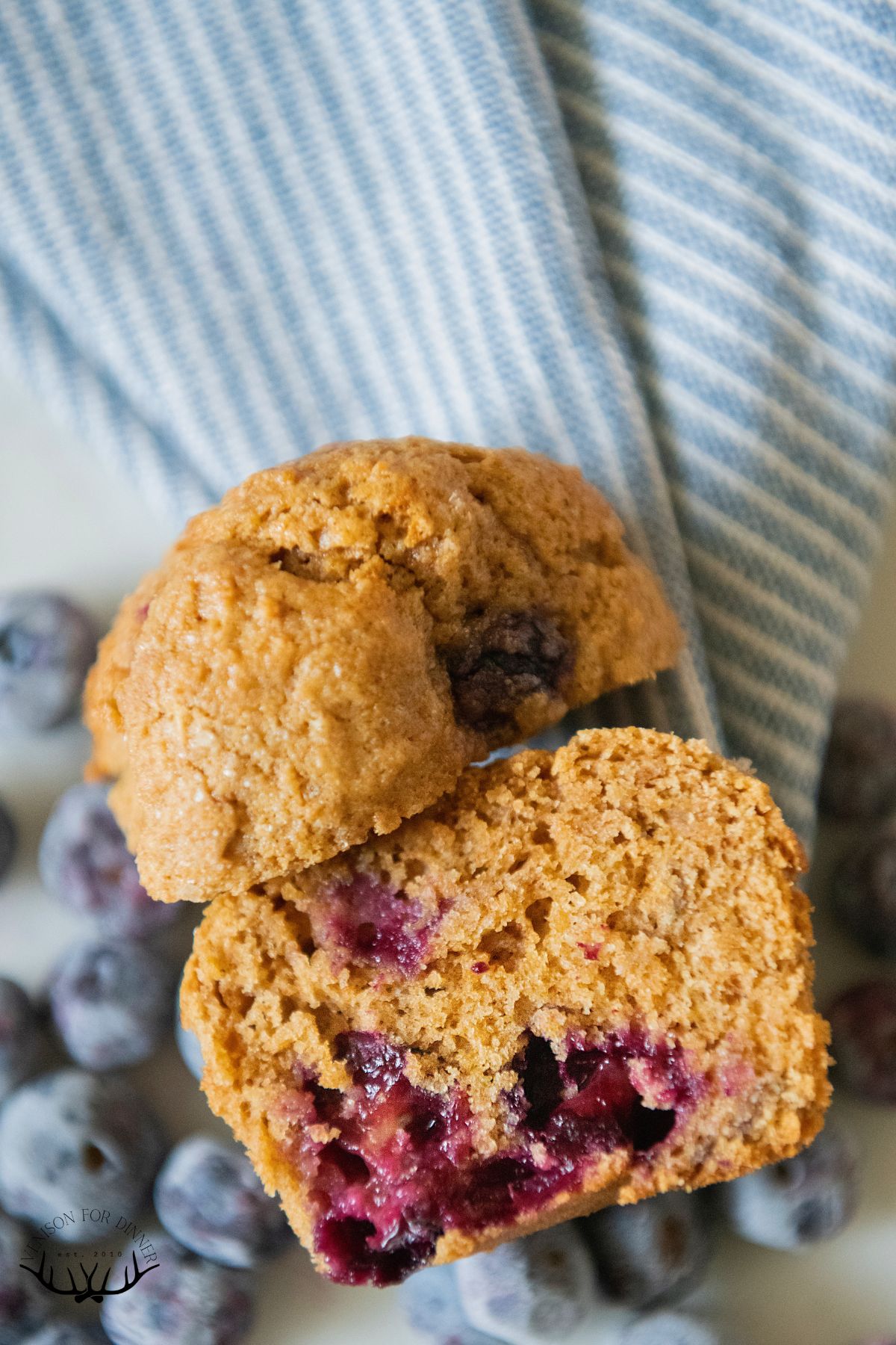 Split open blueberry spelt muffin.