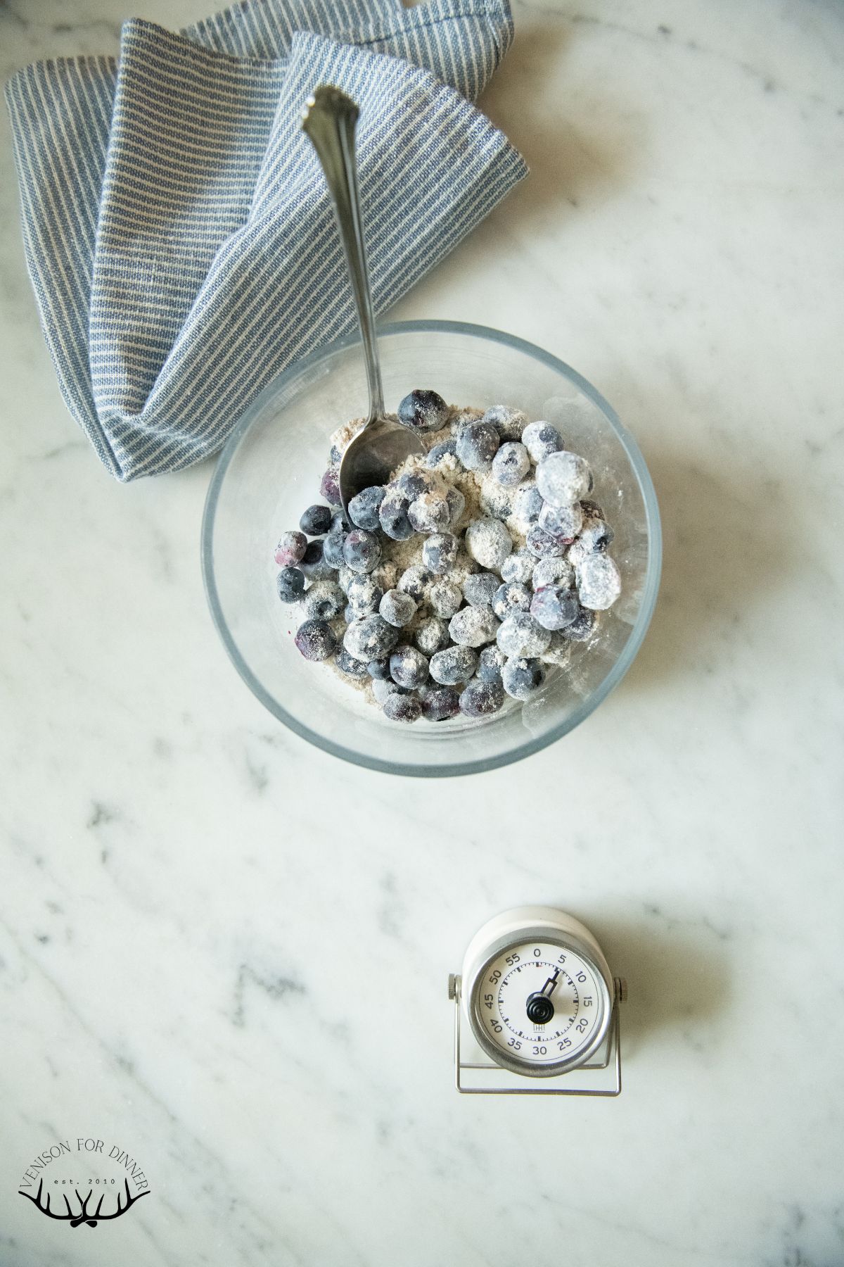 Blueberries dusted in spelt flour.