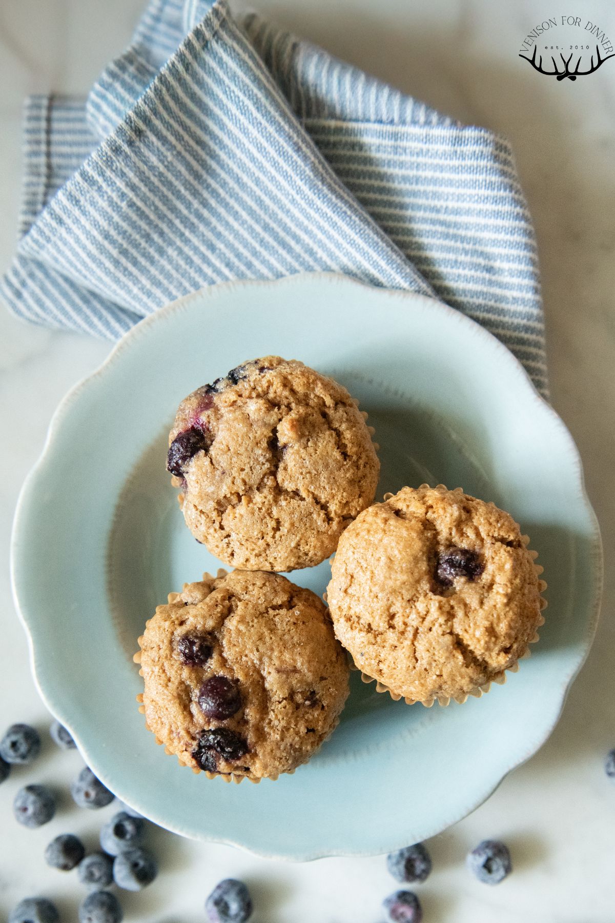 Spelt muffins filled with blueberries.